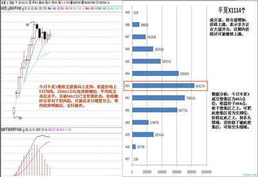 半夏的市场流通与贸易经纪角色解析