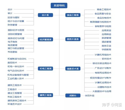 贸易经纪专业山东单招择校指南 这些学校值得你优先考虑